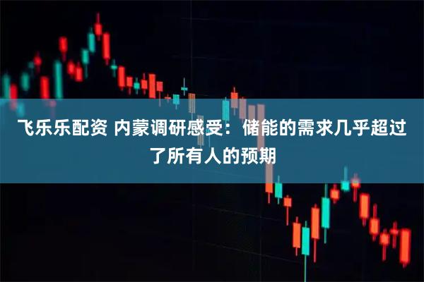 飞乐乐配资 内蒙调研感受：储能的需求几乎超过了所有人的预期