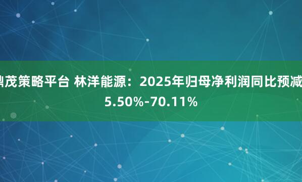 鼎茂策略平台 林洋能源：2025年归母净利润同比预减55.50%-70.11%