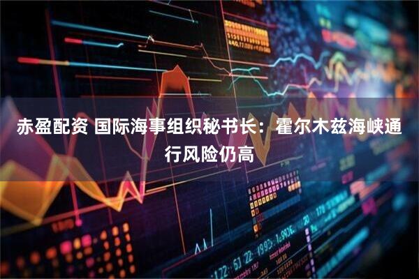 赤盈配资 国际海事组织秘书长：霍尔木兹海峡通行风险仍高